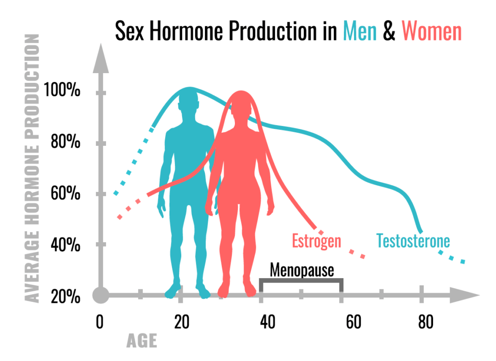 How hormones decline as we age
